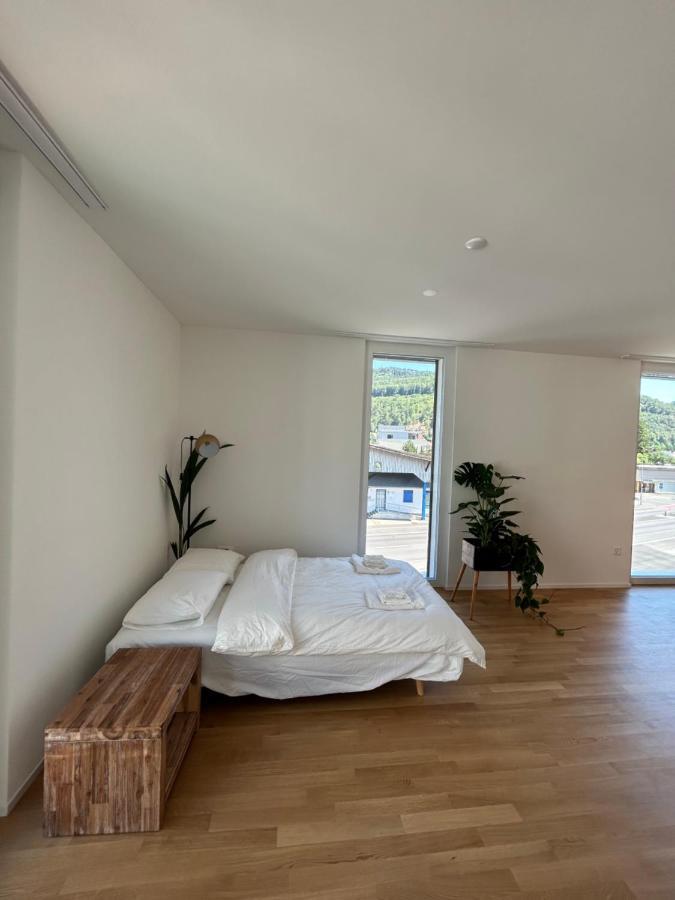 The R Apartment Passwang, Klima, Neu, Balkon, Parking Balsthal Exteriér fotografie